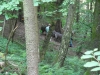 DSCN8265