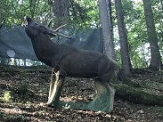IMG_6973