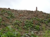 k-DSCN5105
