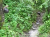 k-DSCN5118