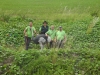 k-DSCN6571