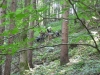 DSCN8295