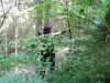 DSCN8321