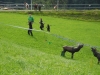DSCN0653