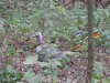 k-dscn1879