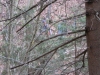 k-P4040207