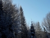 k-IMG-20170101-WA0044