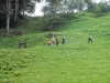 124