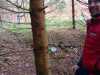 IMG-20241109-WA0006